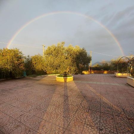 Castel Campagnano Lisandro Wine Resort Apartments Caserta מראה חיצוני תמונה