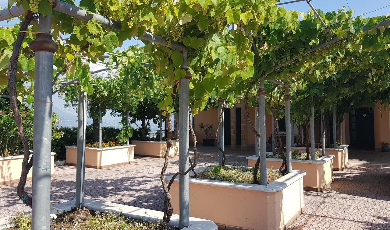 Castel Campagnano Lisandro Wine Resort Apartments Caserta מראה חיצוני תמונה